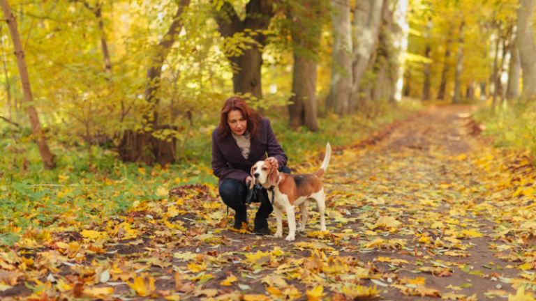 Provider-guided oral ketamine for chronic pain treatment and wellness support at Flow Wellness