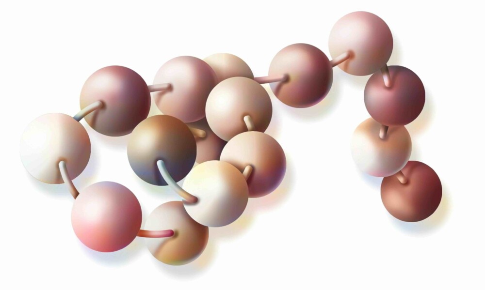 peptide molecular form