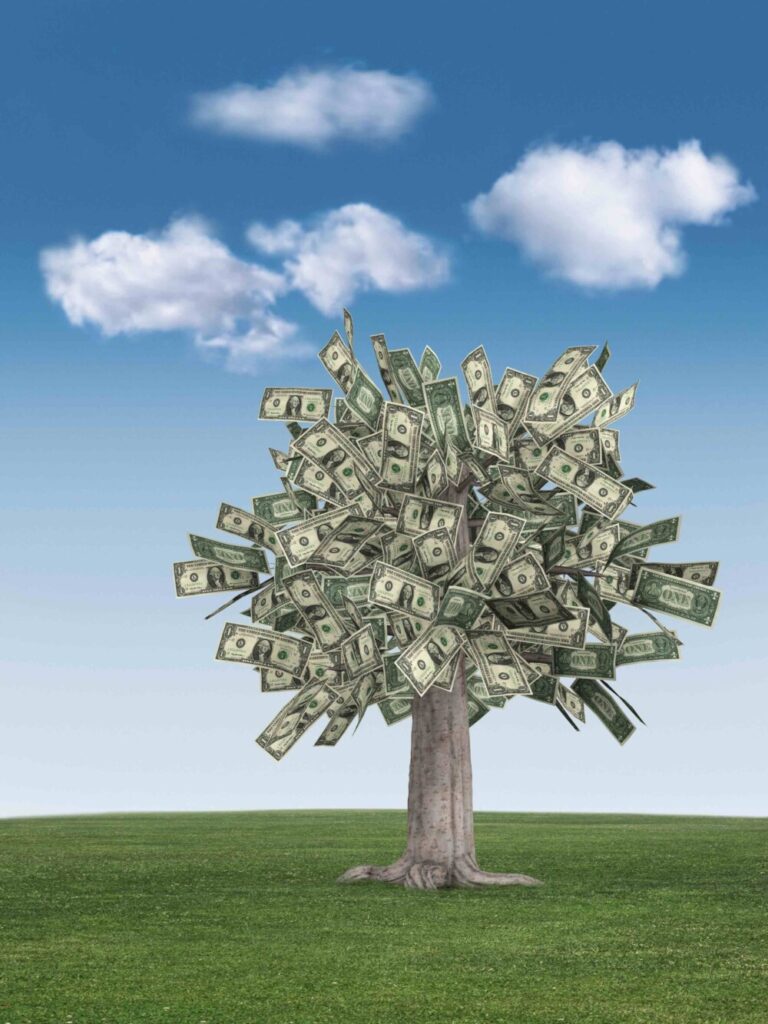 money tree