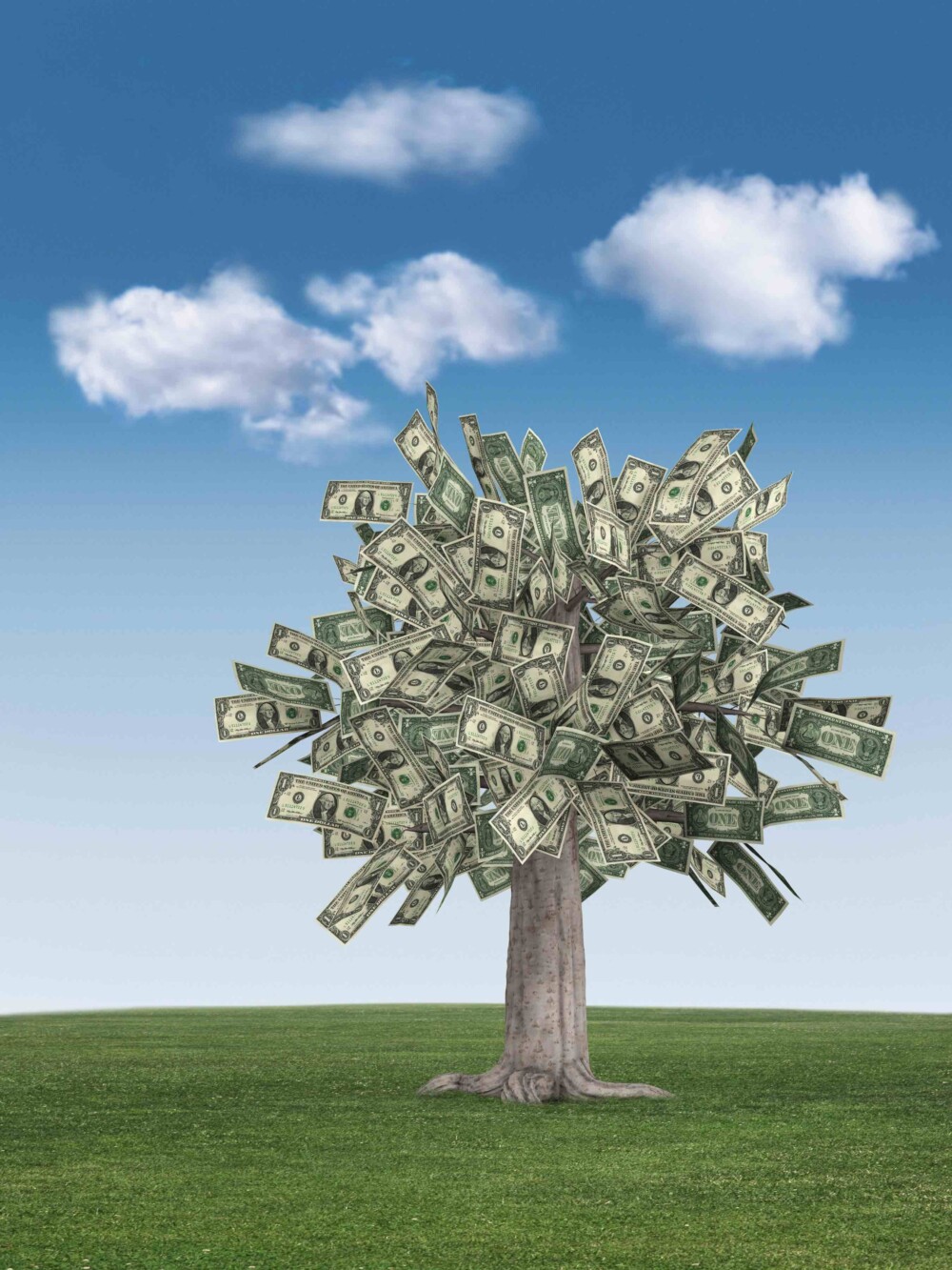 money tree