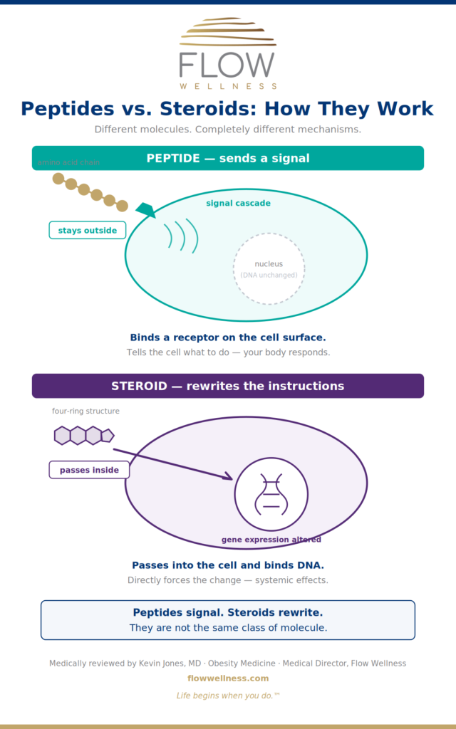 Diagram comparing peptides and steroids: a peptide binds a receptor on the cell surface to send a signal, leaving the nucleus unchanged, while an anabolic steroid passes into the cell and alters gene expression in the nucleus. Flow Wellness: Pacific Northwest Premier Wellness Clinic