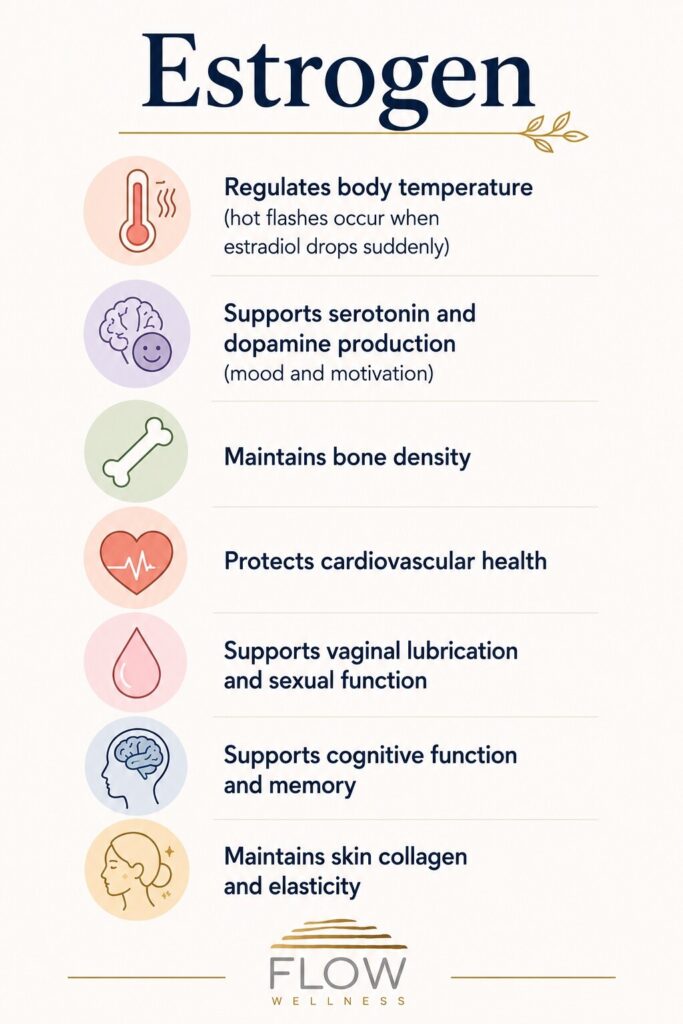 Infographic outlining estrogen’s role in regulating temperature, mood, bone health, memory, and skin elasticity