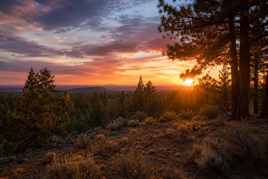 Hope for depression and PTSD at Flow Wellness.