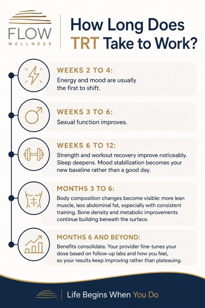 Flow Wellness infographic titled “How Long Does TRT Take to Work?” featuring a clean white background with navy blue and gold branding. The Flow Wellness logo appears at the top left. A vertical timeline with simple icons outlines the typical progression of testosterone replacement therapy (TRT) benefits: * Weeks 2–4: Energy and mood are usually the first to improve. * Weeks 3–6: Sexual function begins to improve. * Weeks 6–12: Strength and workout recovery improve noticeably. Sleep deepens, and mood becomes more consistently stable. * Months 3–6: Lean muscle increases, abdominal fat decreases, and body composition changes become more visible. Bone density and metabolic health continue improving. * Months 6 and beyond: Benefits continue to build as treatment is fine-tuned based on follow-up labs and symptoms. A navy footer at the bottom features the Flow Wellness logo and the tagline, “Life Begins When You Do.”