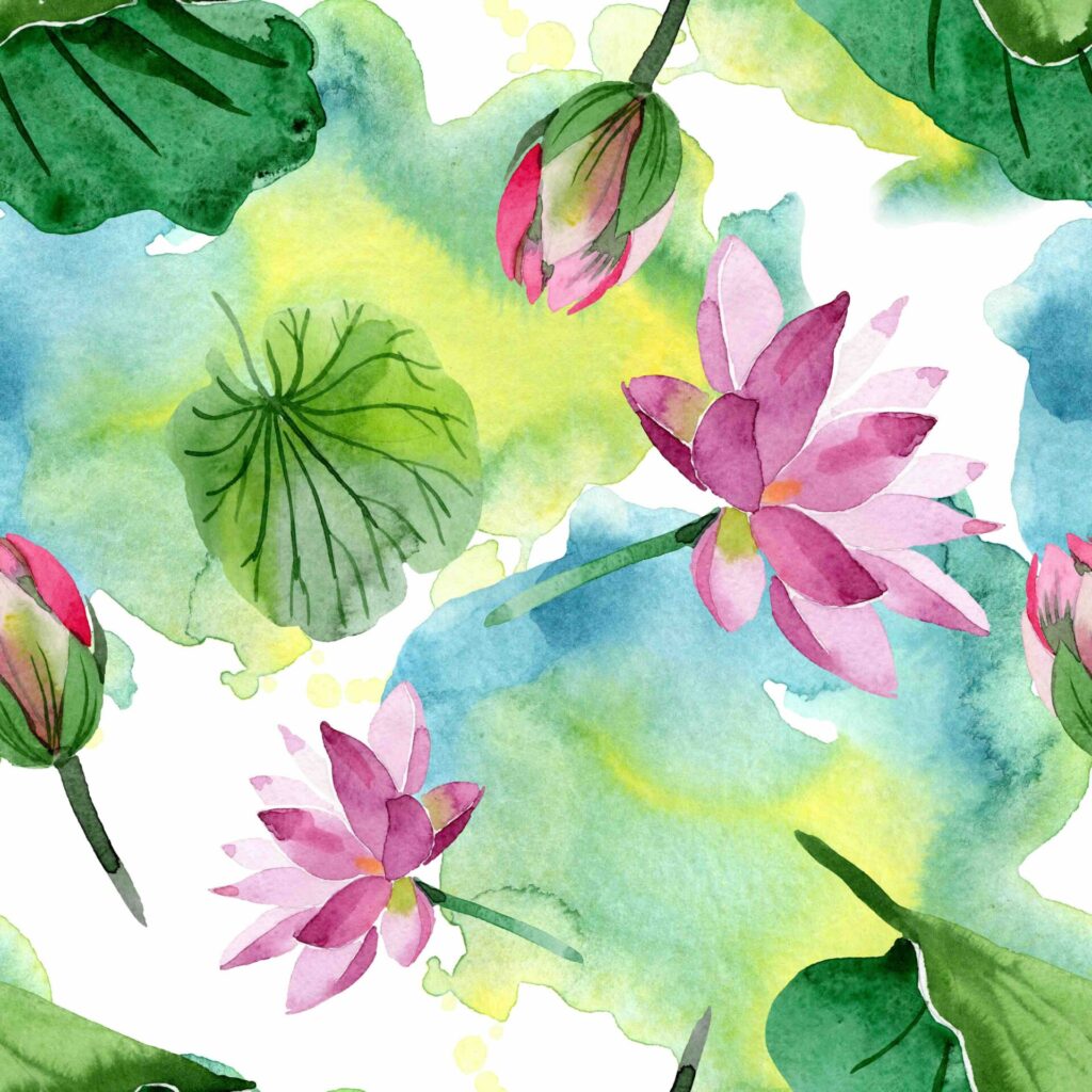 lotus flower at Flow Wellness